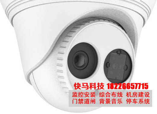 DS-2CD3310(D)-I