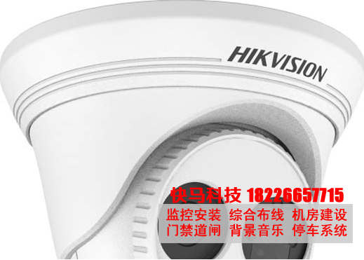 DS-2CD3310(D)-I