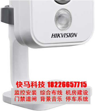 DS-2CD2412F-IW