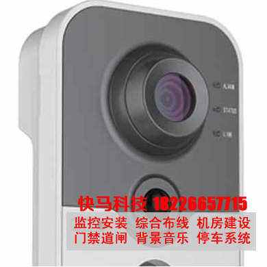 DS-2CD2410FD-IW