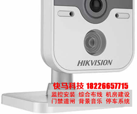 DS-2CD2410FD-IW