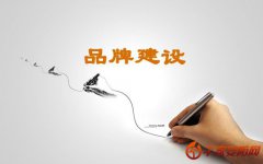 315晚会给安防企业关于“品