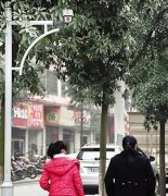 三线城市安防建设 电子监控