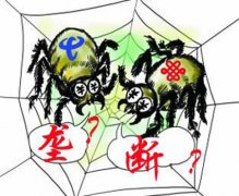 发改委调查宽带垄断 安防迎