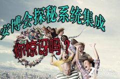 安博会展望：系统集成化将
