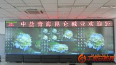 清投视讯携中盐青海昆仑碱